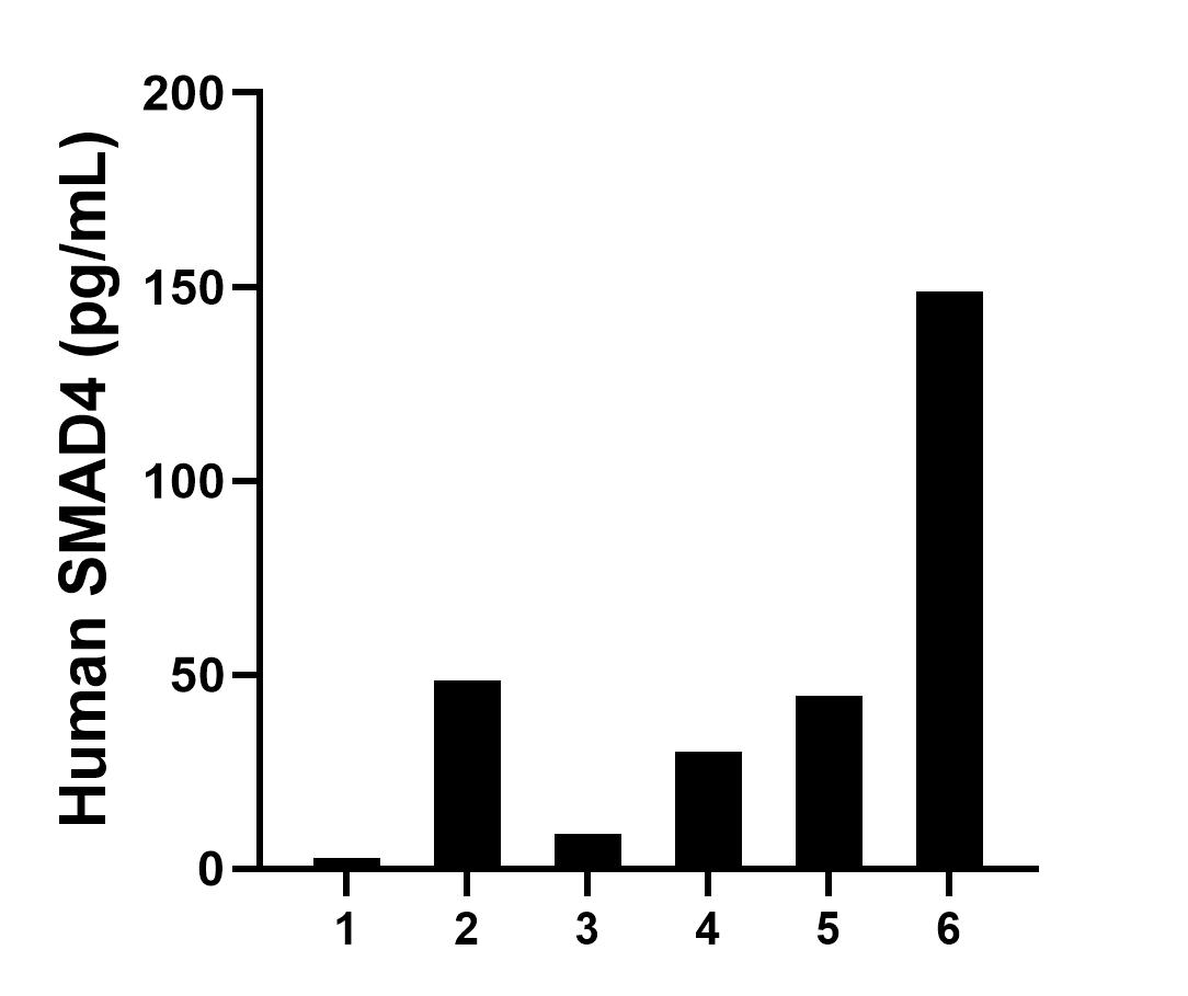 Serum of sixteen individual healthy human donors were measured. The human SMAD4 concentration of detected samples was determined to be 47.3 pg/mL with a range of ND - 148.8 pg/mL.